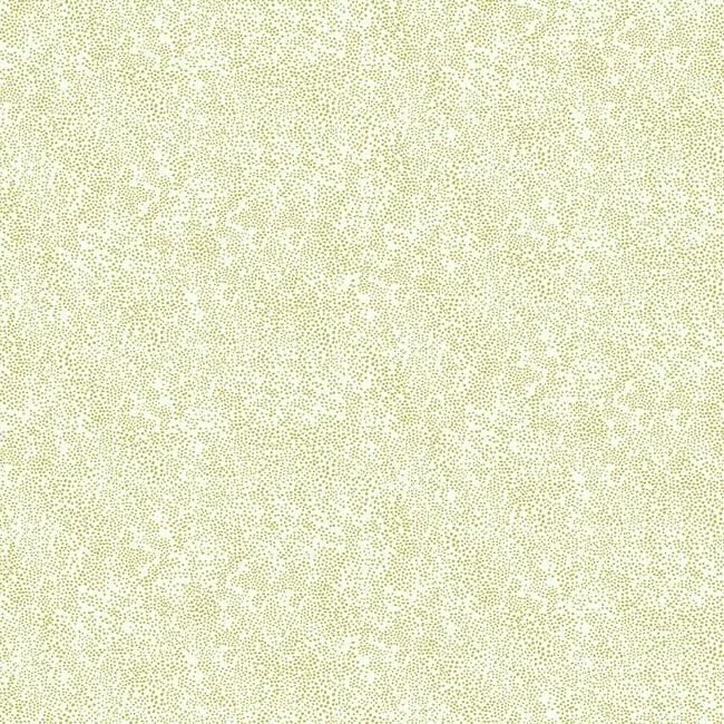 Champagne Dots Wallpaper in Gold and White from the Rifle Paper Co. Collection