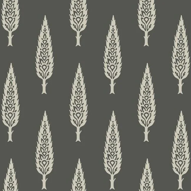 Juniper Tree Wallpaper in Black and Taupe from the Silhouettes Collection