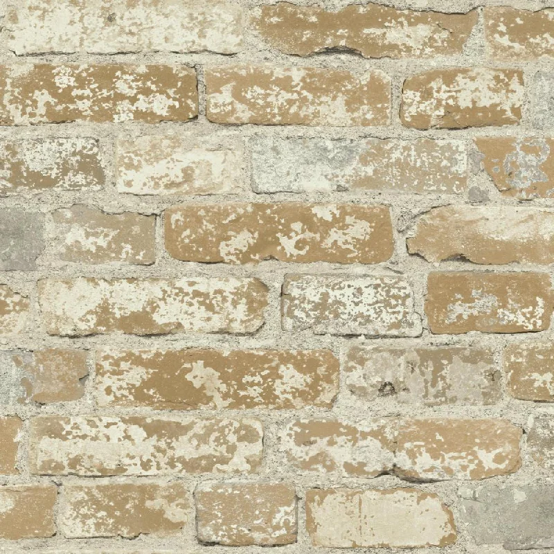 Stuccoed Brick Peel & Stick Wallpaper in Brown